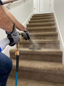 carpet cleaning