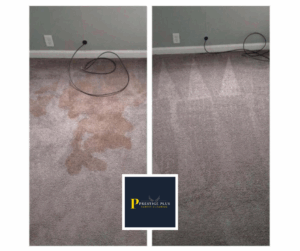 carpet cleaning