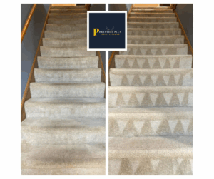 carpet cleaning