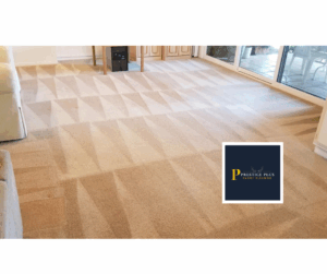 carpet cleaning