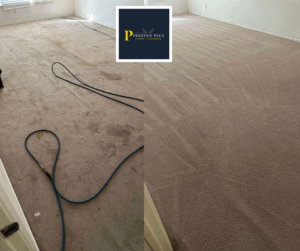 carpet cleaner