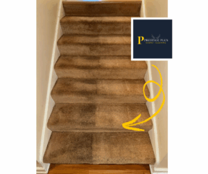 carpet cleaner near me